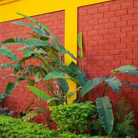Mvt Guesthouse & Restaurant Ришикеш Экстерьер фото